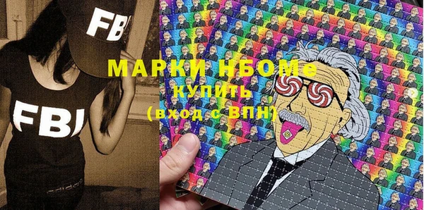 шишки Сатка