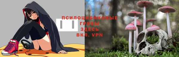 прущие грибы Абаза