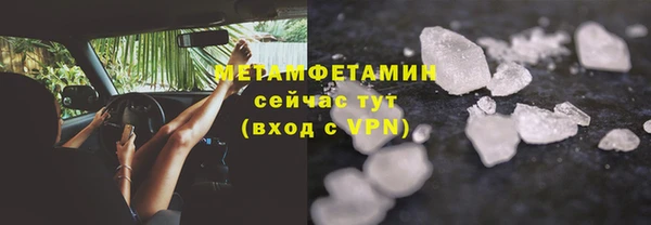 шишки Сатка