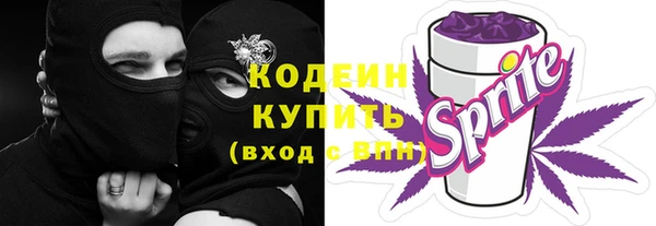прущие грибы Абаза