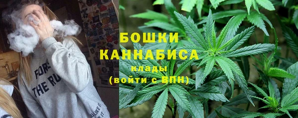 дживик Галич